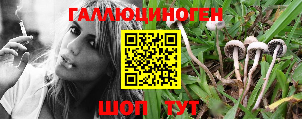 Псилоцибиновые грибы GOLDEN TEACHER Михайловка