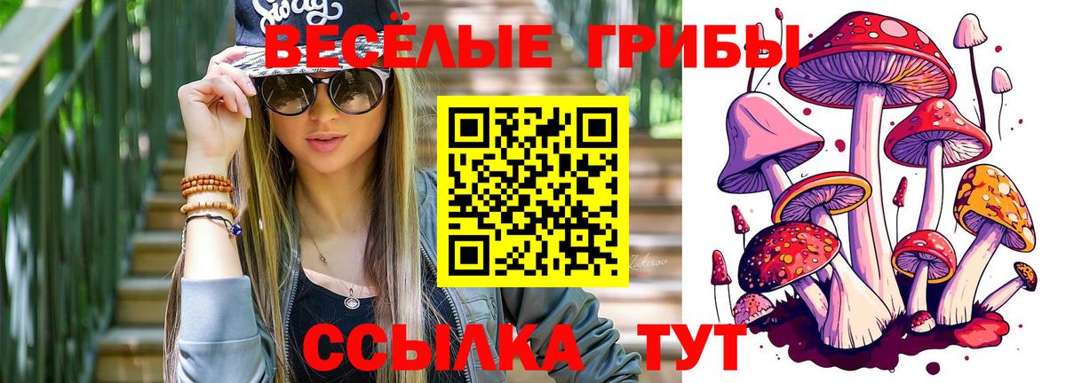 Михайловка  Псилоцибиновые грибы Psilocybine cubensis  Вход с VPN 